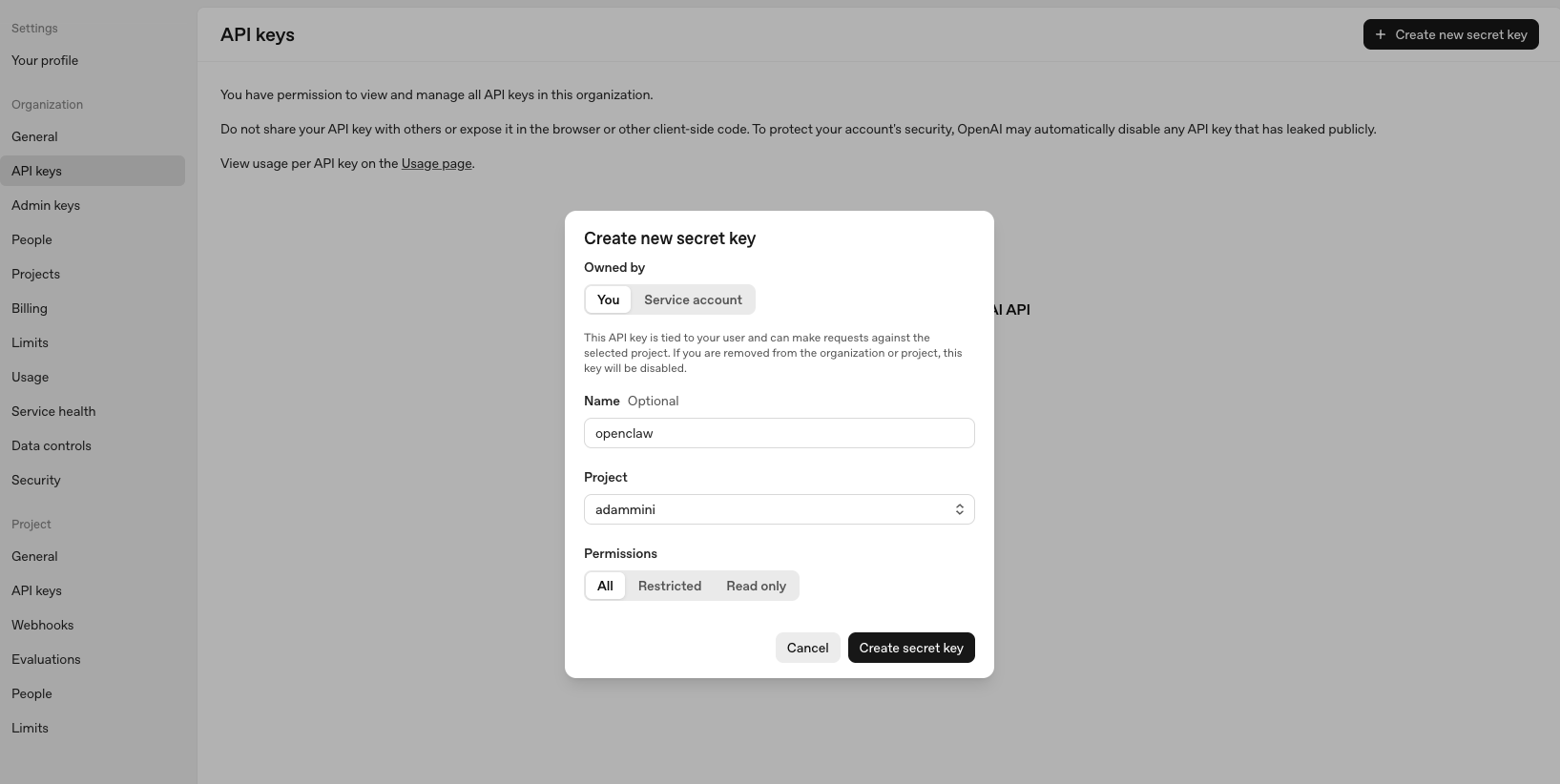 https://platform.openai.com/settings/organization/api-keys