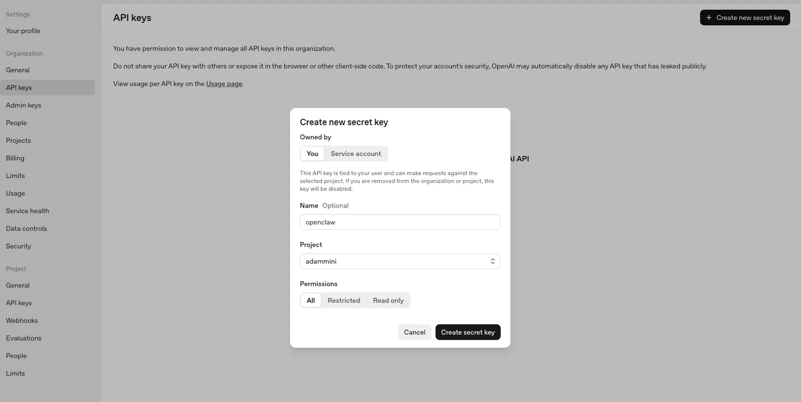 https://platform.openai.com/settings/organization/api-keys